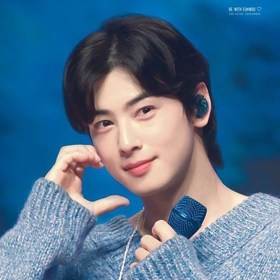 A moment captured by a fan of Cha Eunwoo