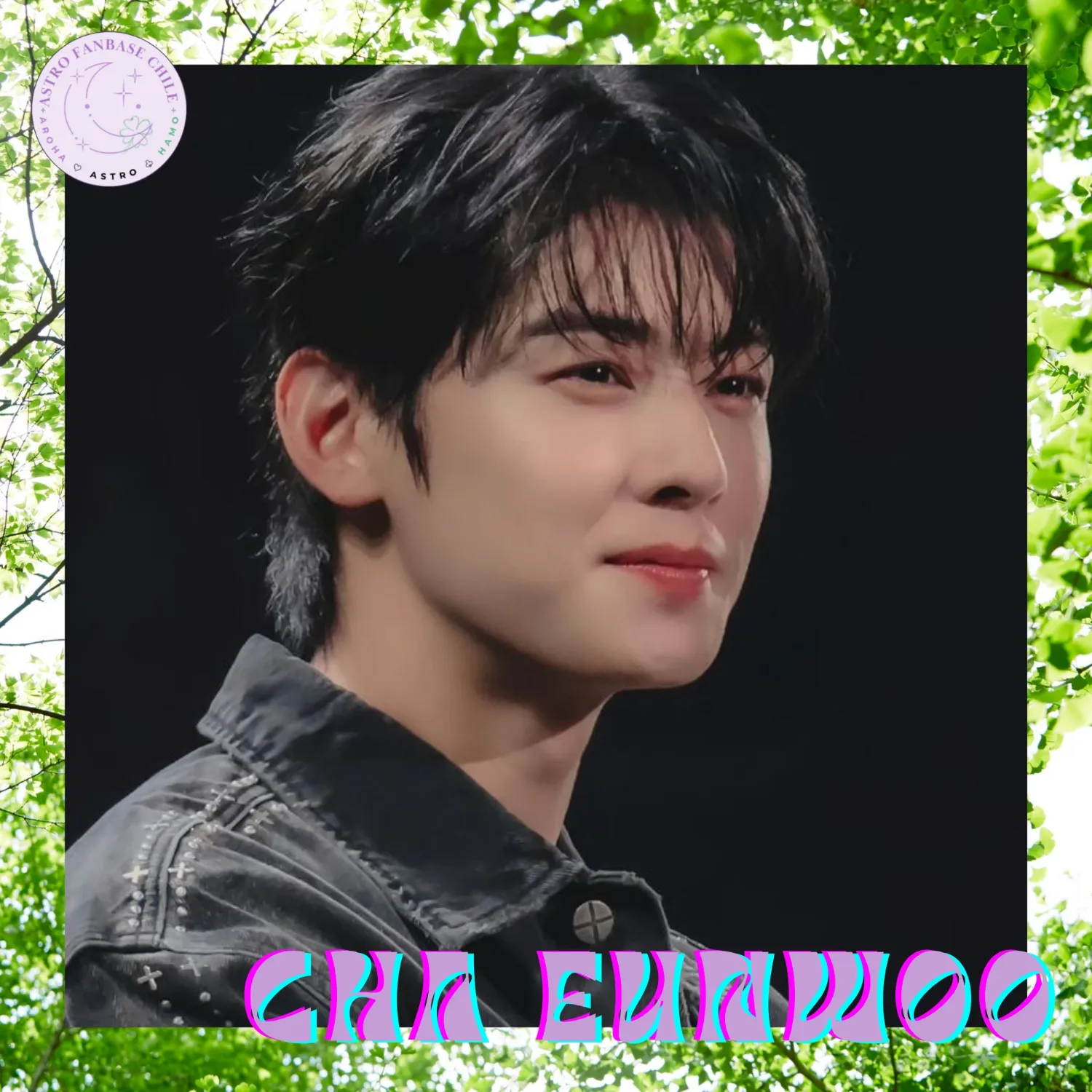 Recent activity shot of Cha Eunwoo