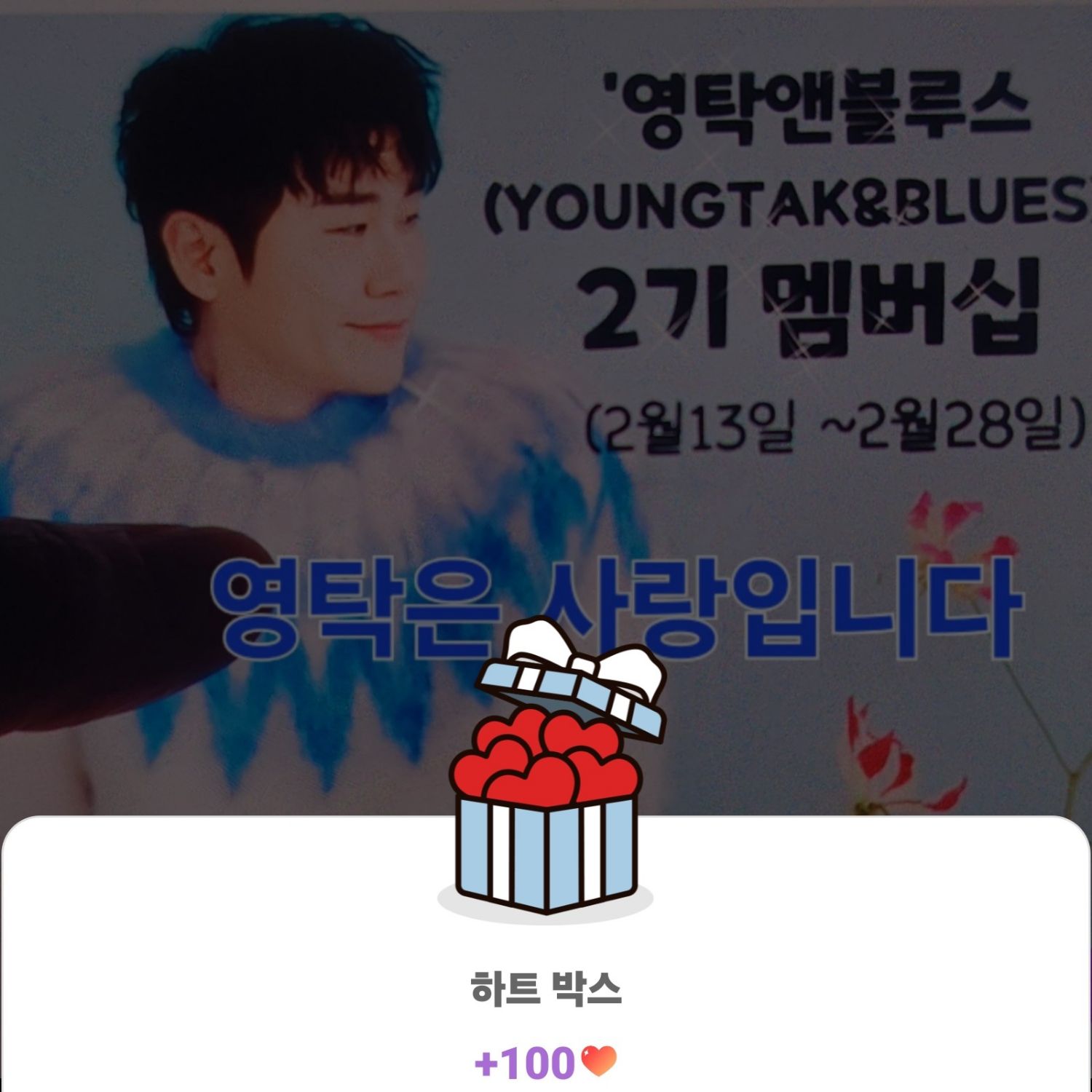 永卓的最新照片