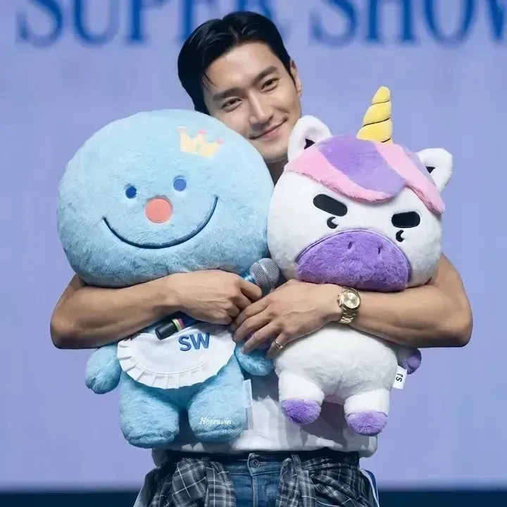 A moment captured by a fan of Choi Siwon
