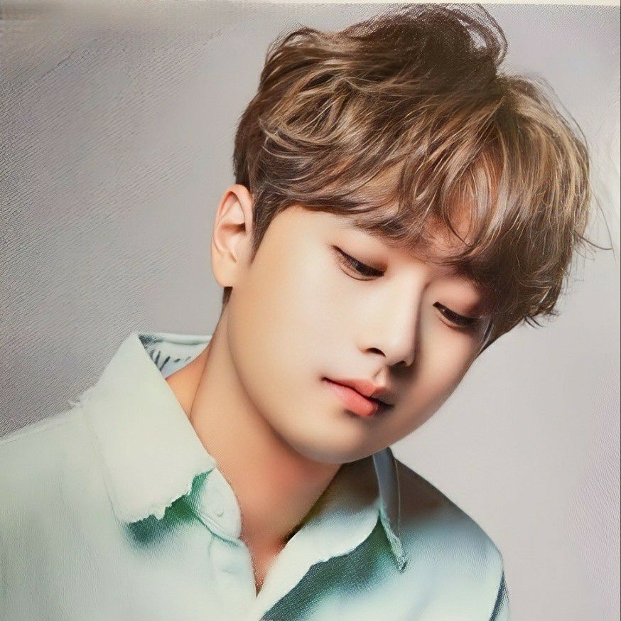 이찬원 팬이 찍은 순간