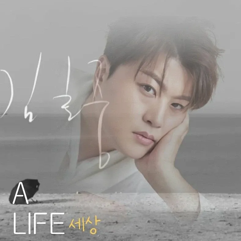 金浩中的近期活动照