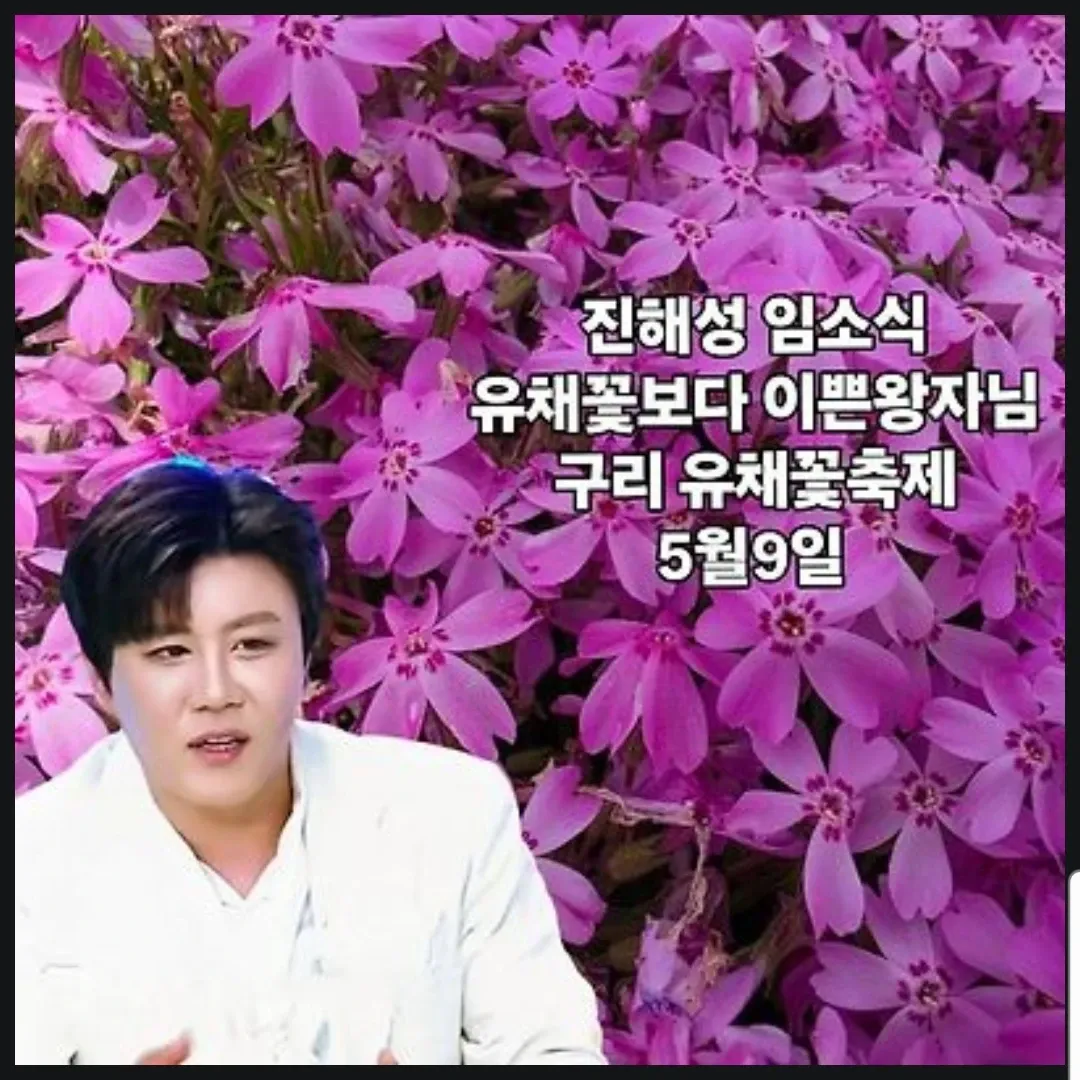 晋海成的最新照片