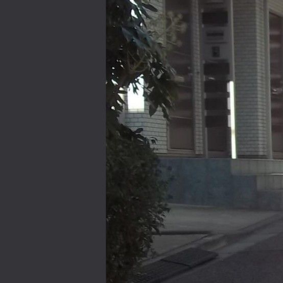 A moment captured by a fan of Park Seoham