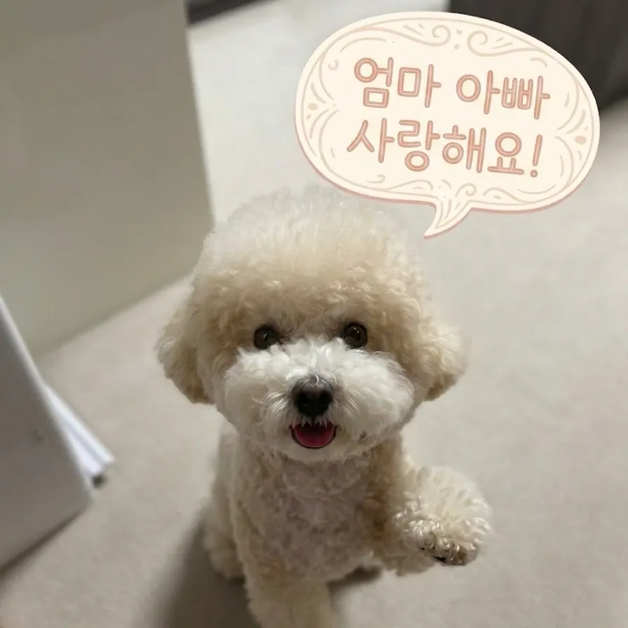 김선호의 비하인드 컷
