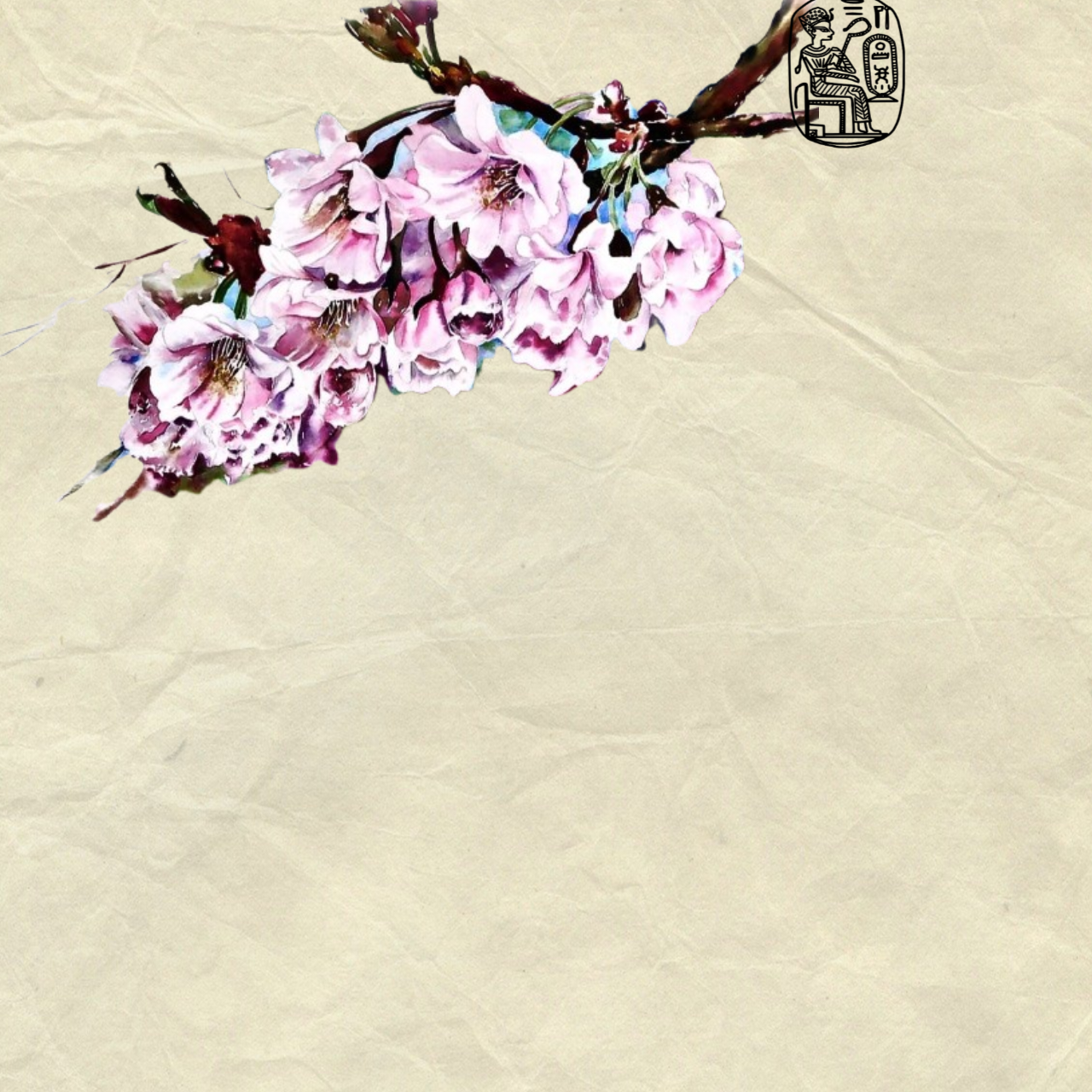 Recent activity shot of Miss Kim