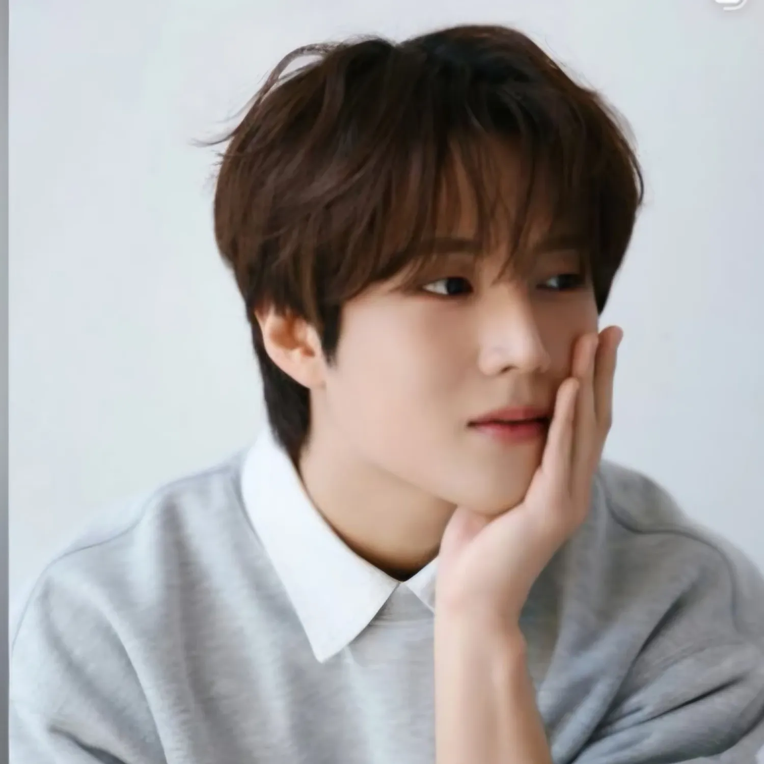 金俊賢的最新照片