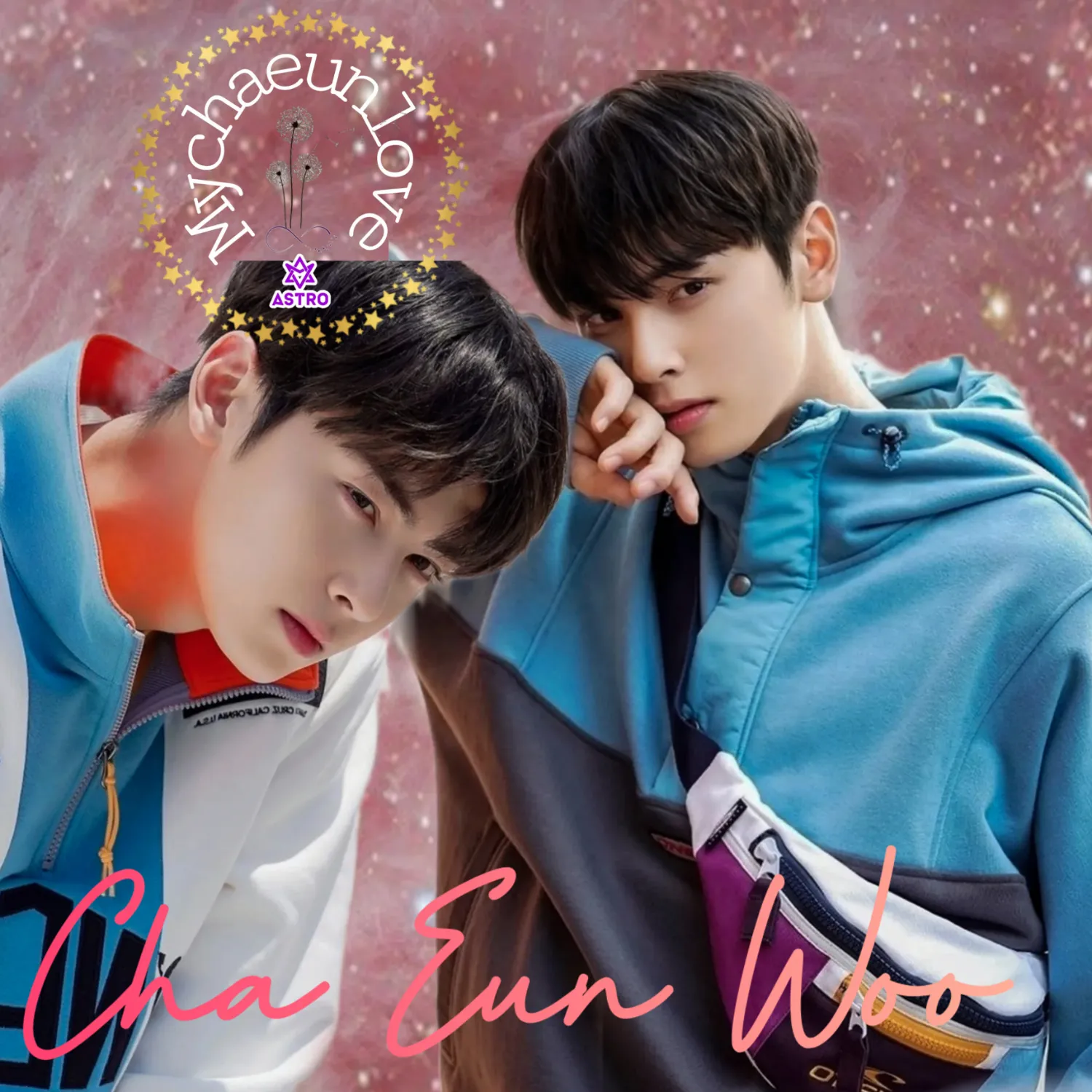 A moment captured by a fan of Cha Eunwoo