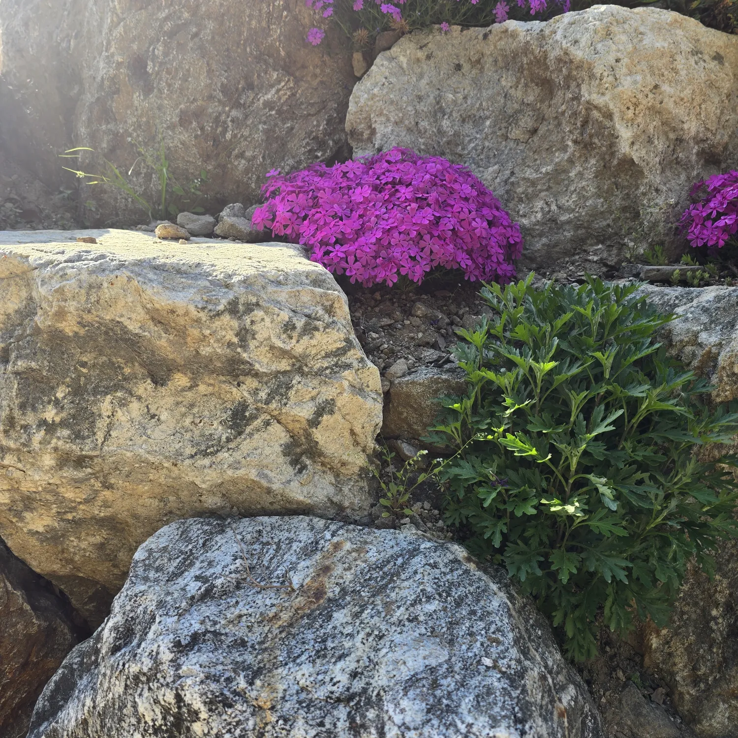 ファンが撮影したパク・ソジンの瞬間