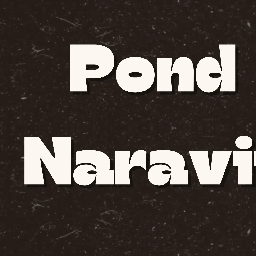 A moment captured by a fan of Pond Naravit Lertratkosum