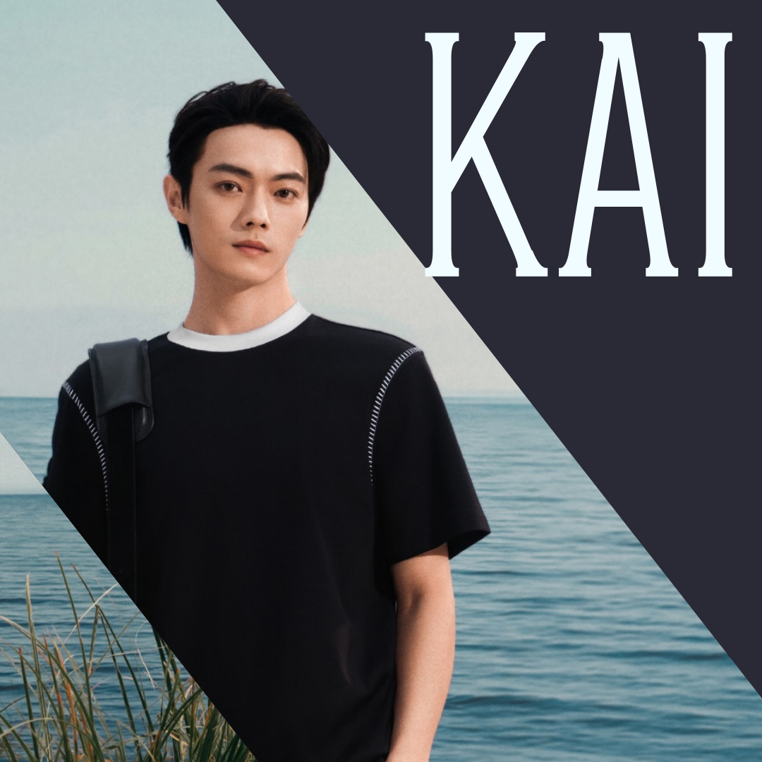 A moment captured by a fan of Xu Kai