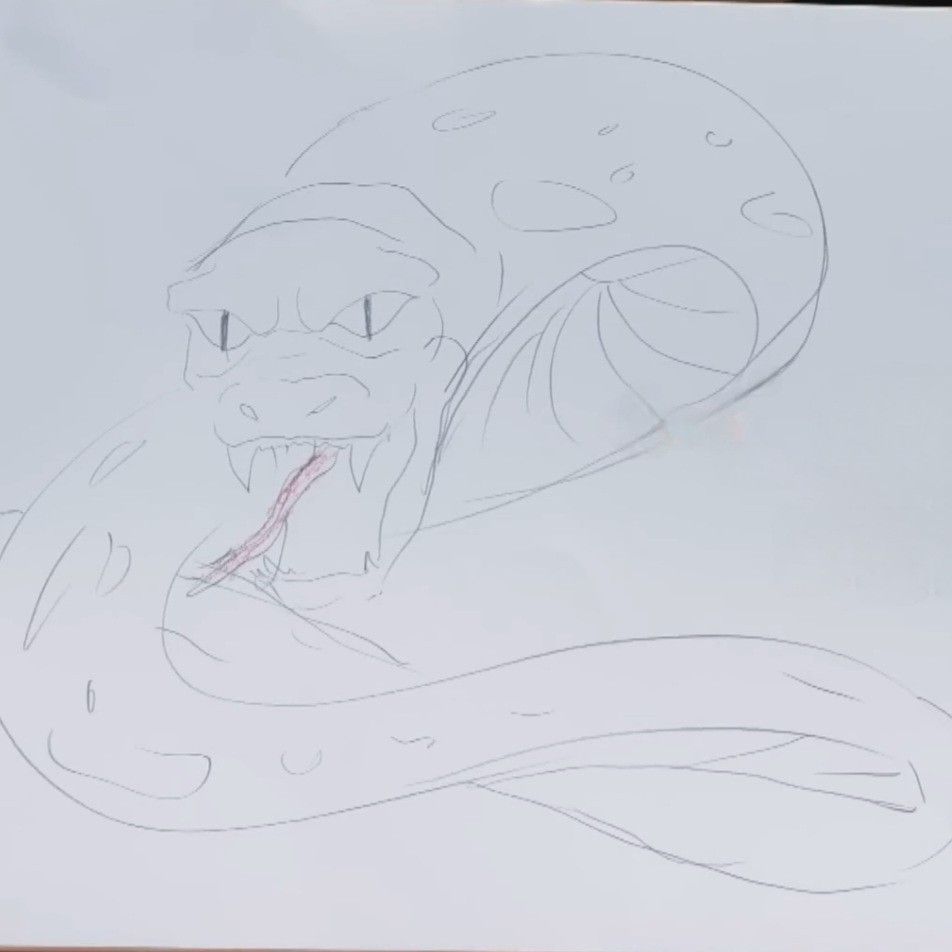 영탁의 최신 사진