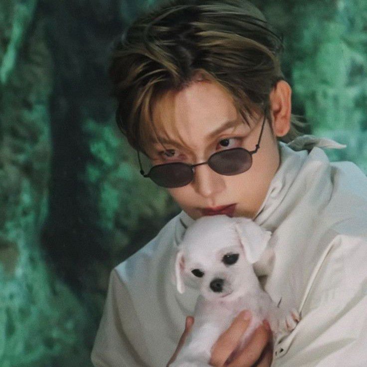 Latest photo of Yim Siwan