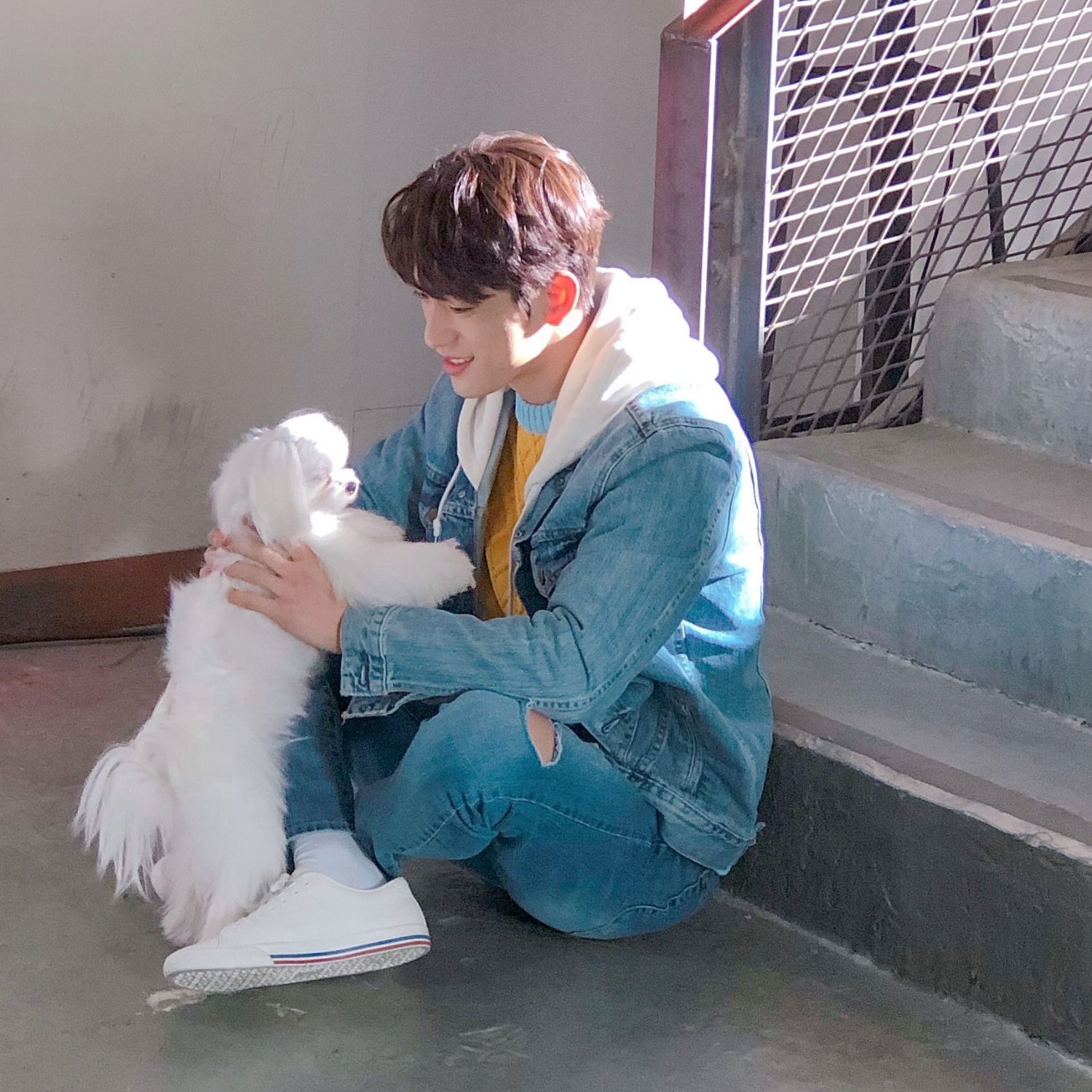 朴珍榮的最新照片