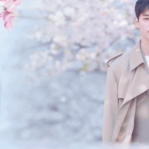 Behind-the-scenes cut of Seo Kangjoon