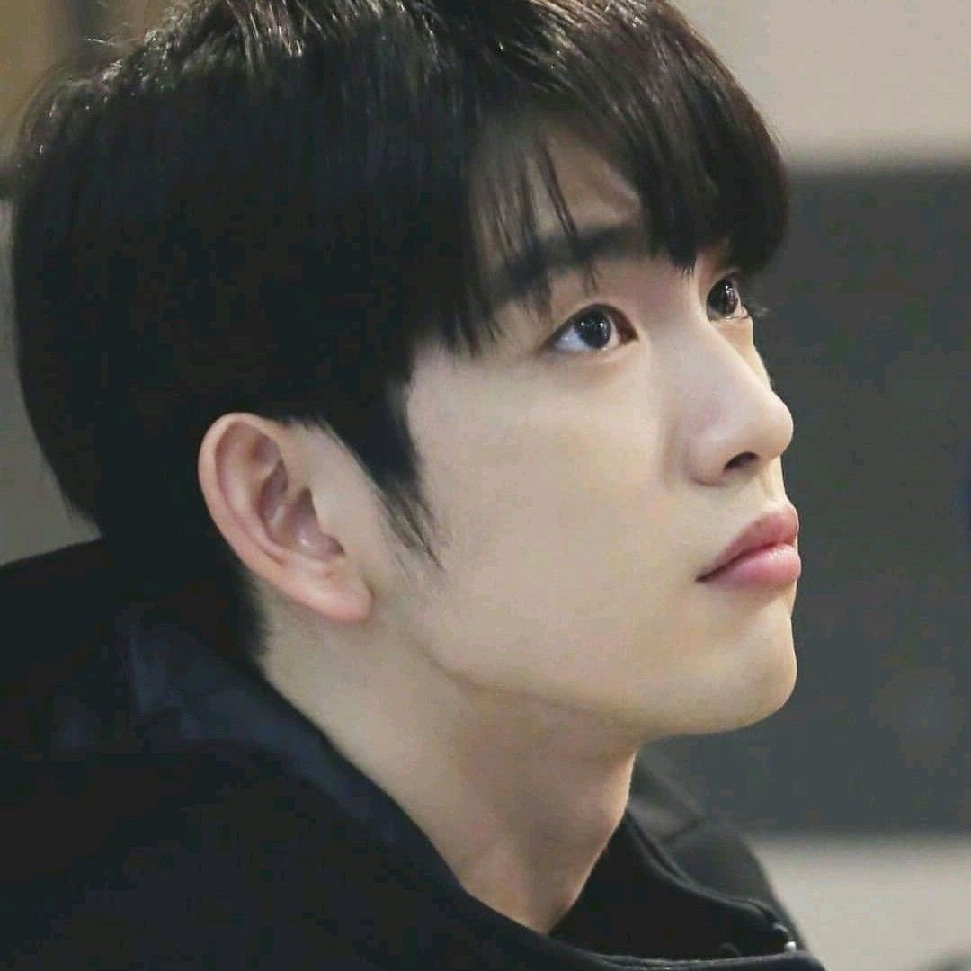 朴珍荣的近期活动照