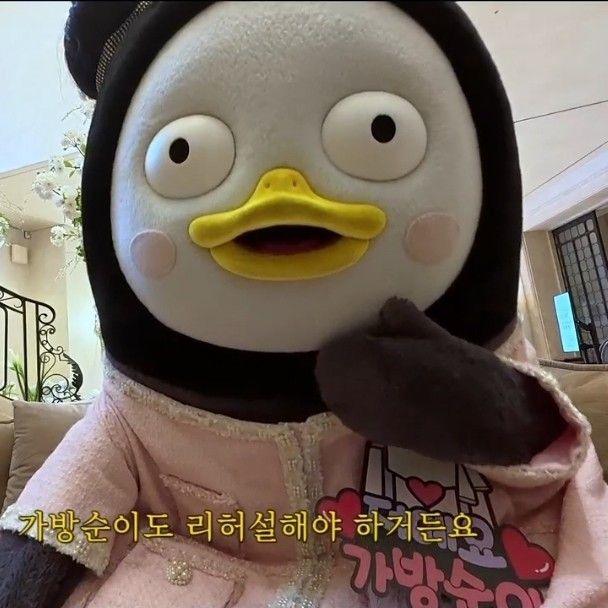 朋秀的最新照片