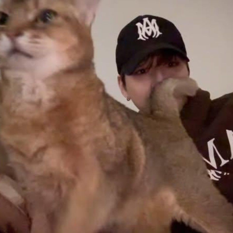 秘密空间的最新照片