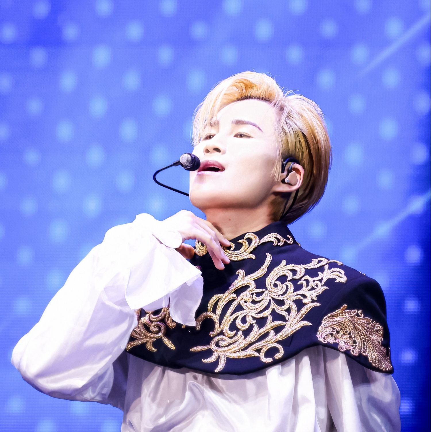 金熙栽的幕後花絮