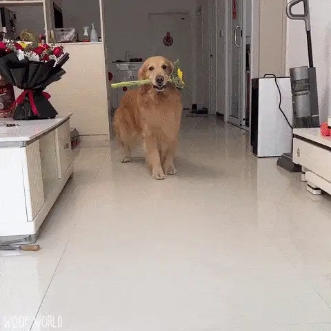 Recent activity shot of Chae Soobin