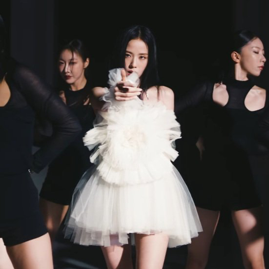 A moment captured by a fan of Jisoo (1995)