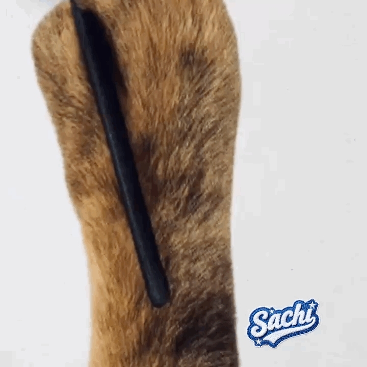 이민호의 최신 사진