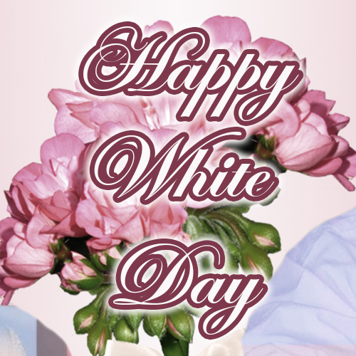 Behind-the-scenes cut of Choi Jinhyuk