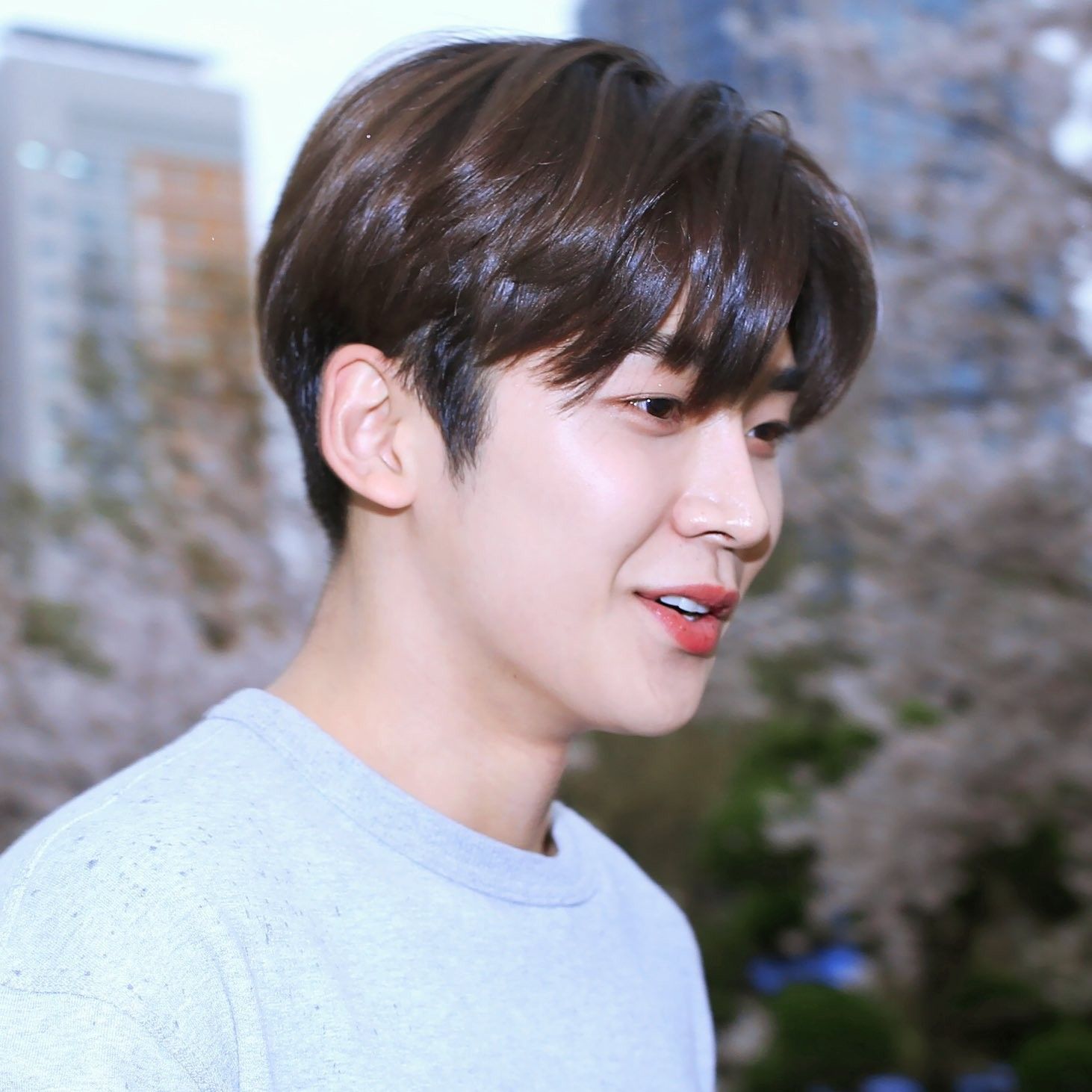 路云的近期活动照