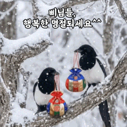 李承允的近期活動照