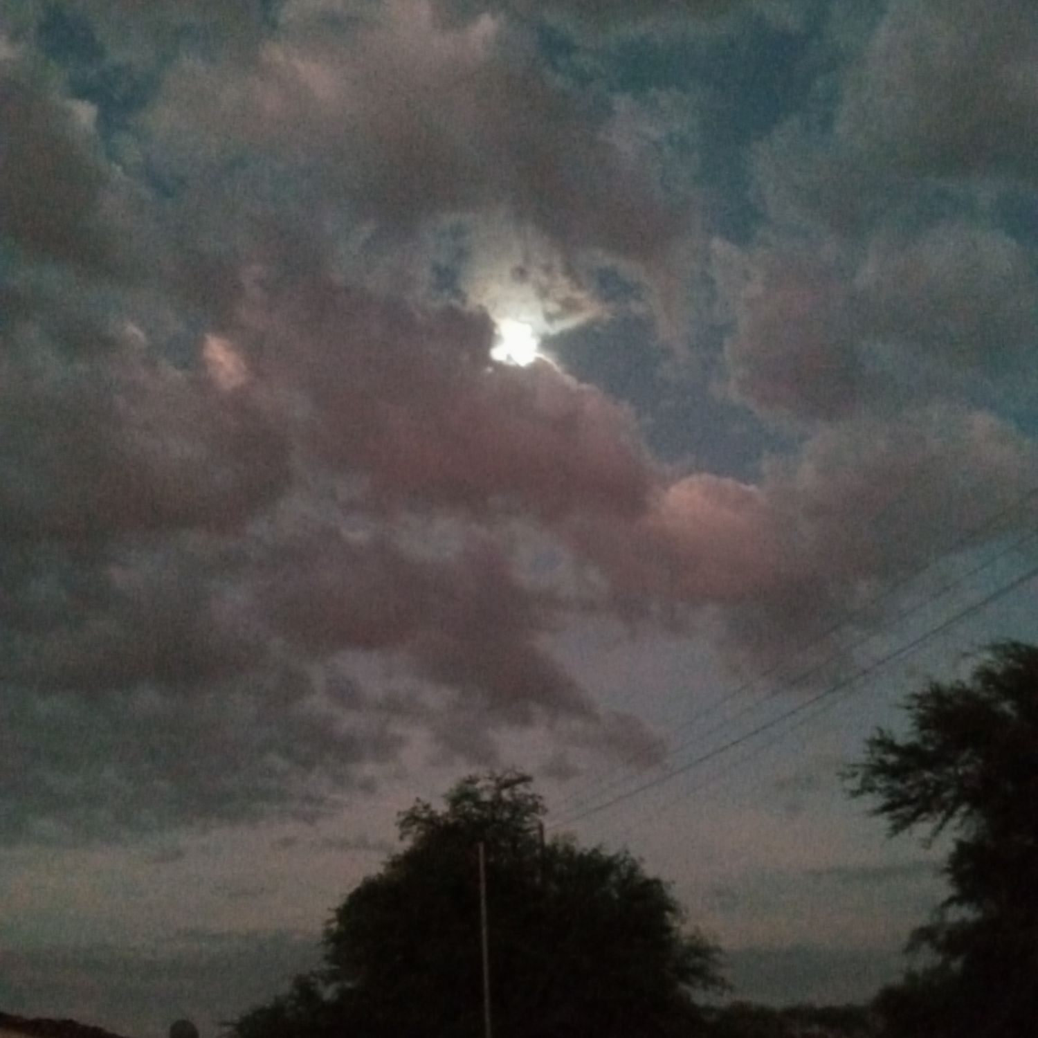 지창욱 팬이 찍은 순간