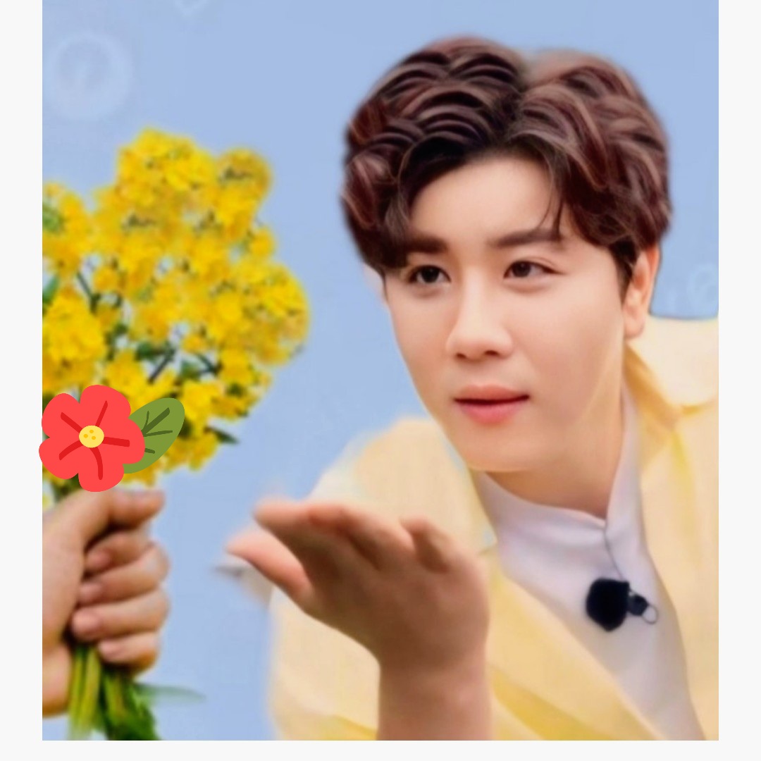 A moment captured by a fan of Jin Haesung