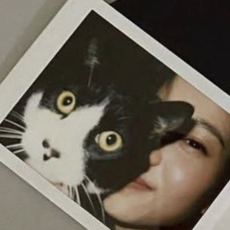 Momen yang diabadikan oleh penggemar Kim Taeri