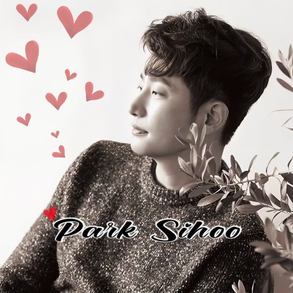 通过投票选出的朴施厚人气头像图像