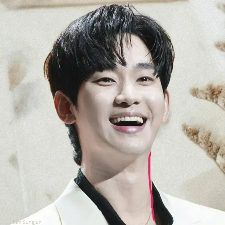 A moment captured by a fan of Kim Soohyun