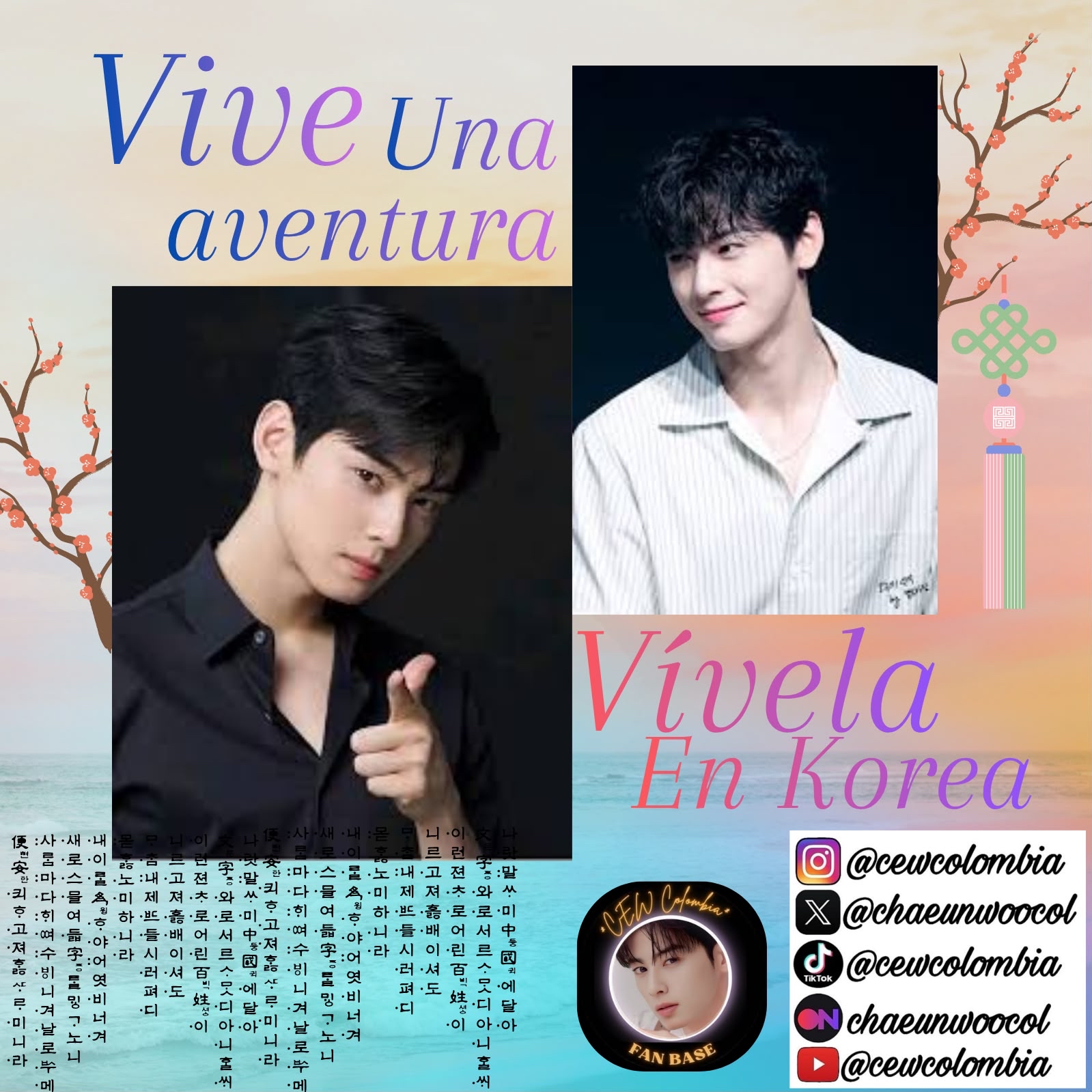 Recent activity shot of Cha Eunwoo