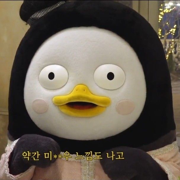 朋秀的近期活動照