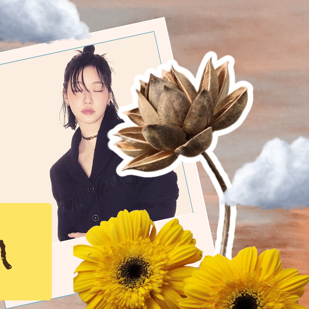 金高銀的幕後花絮