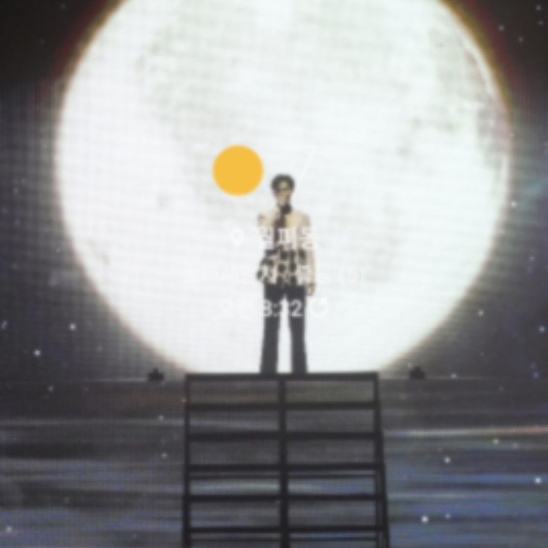 金熙栽的幕后花絮