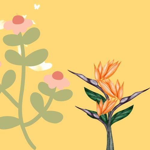 A moment captured by a fan of Park Boyoung