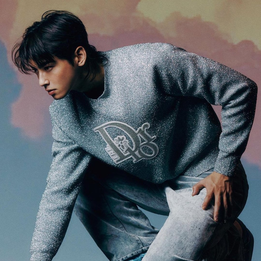 ファンが撮影したチャ・ウヌの瞬間