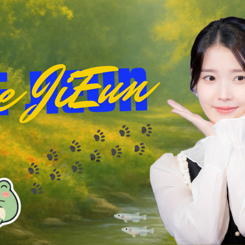 A moment captured by a fan of IU
