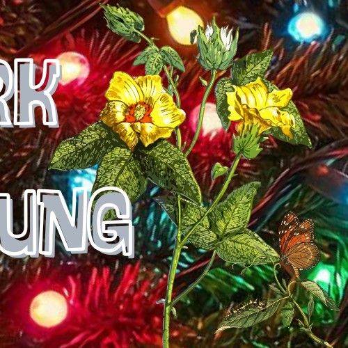 Behind-the-scenes cut of Park Boyoung