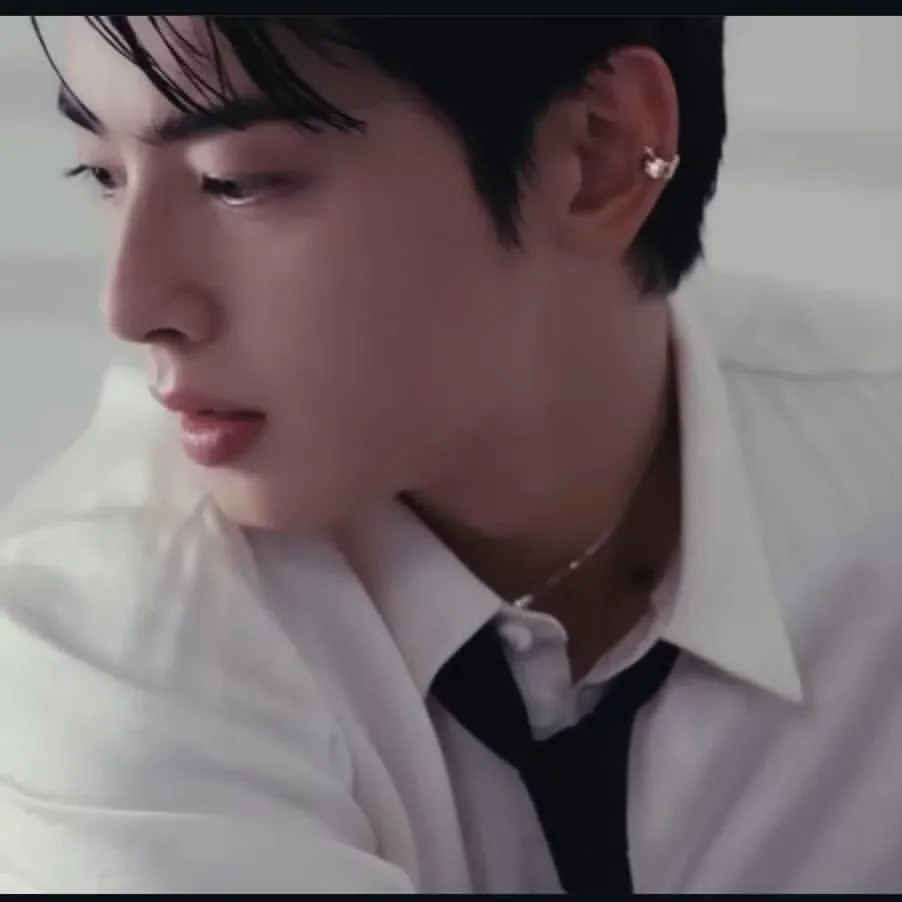 A moment captured by a fan of Cha Eunwoo