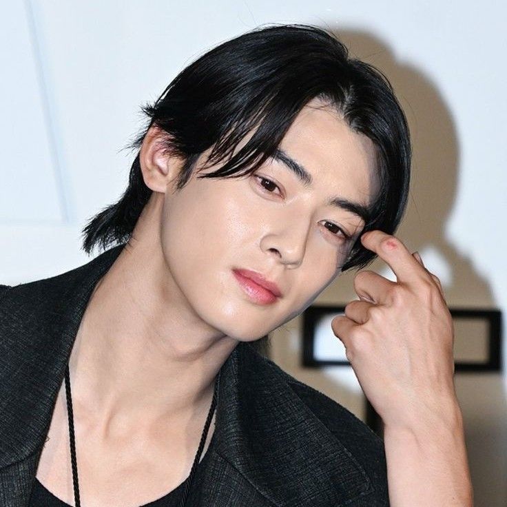 ファンが撮影したチャ・ウヌの瞬間