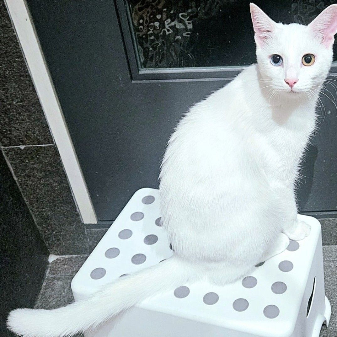 A moment captured by a fan of Kang Moonkyung