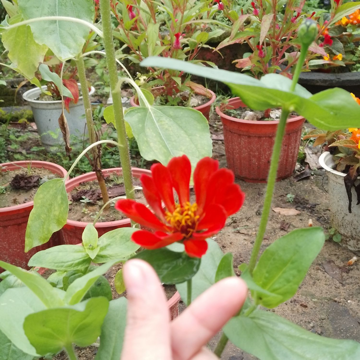 Momen yang diabadikan oleh penggemar Gumayusi