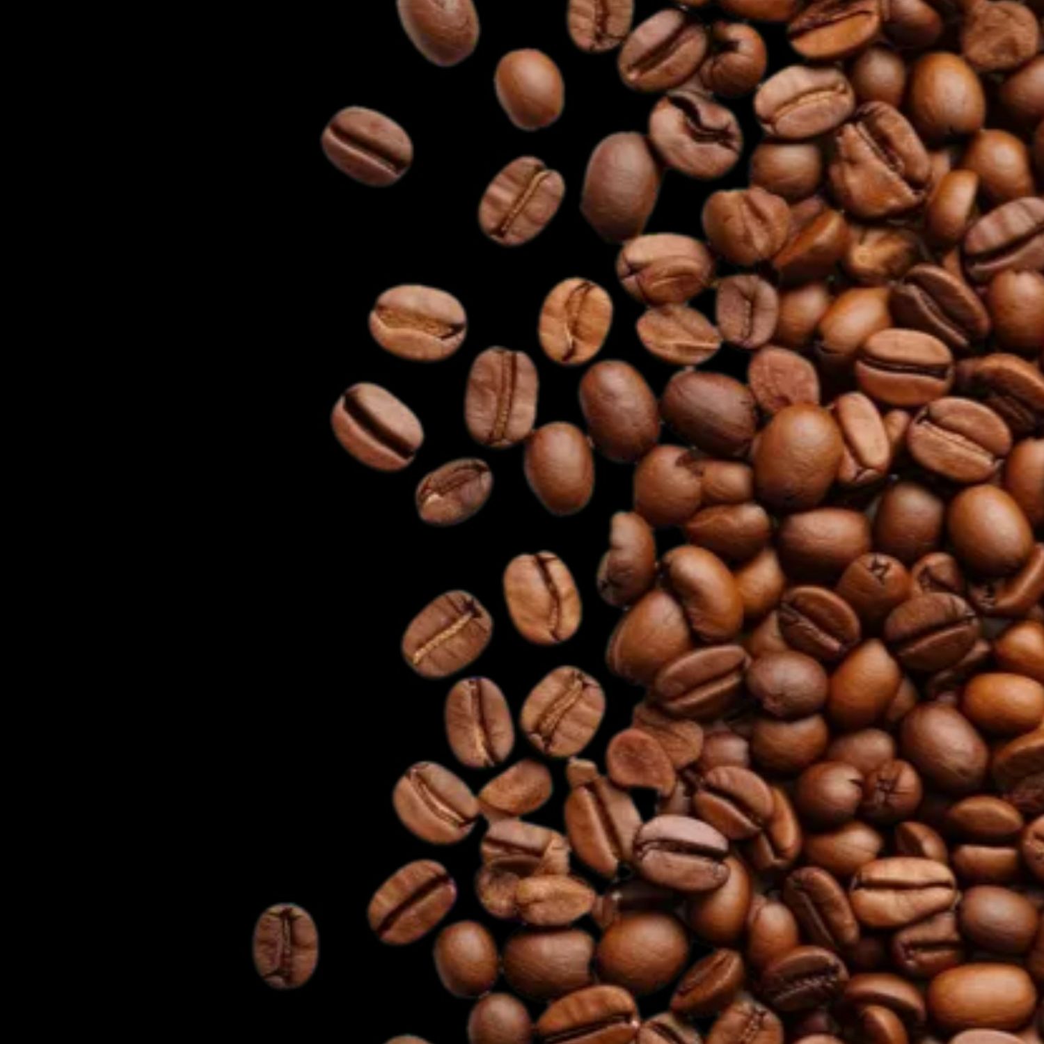 Recent activity shot of Moon Chaewon