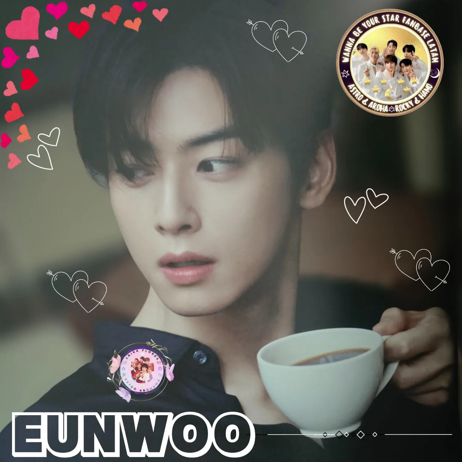 A moment captured by a fan of Cha Eunwoo