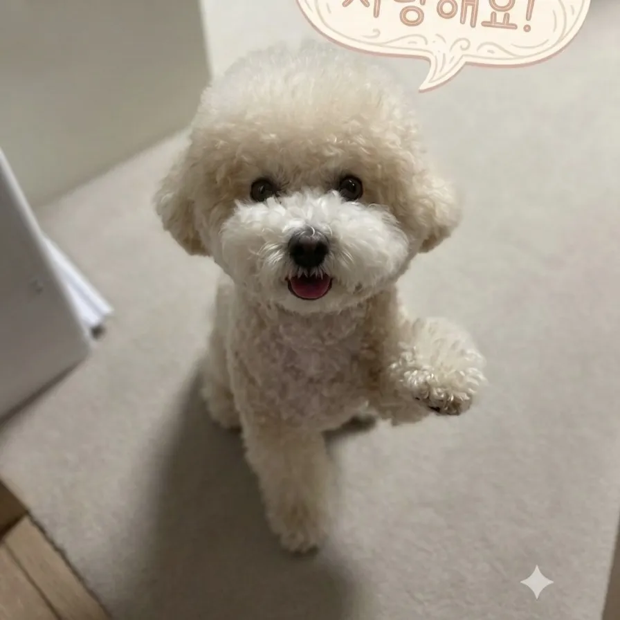 김선호의 최신 사진