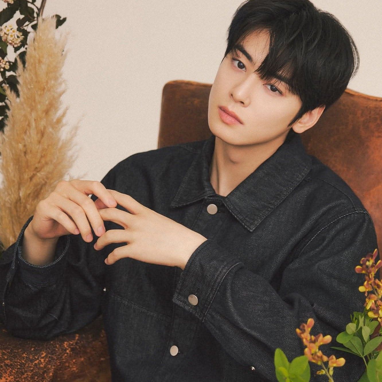 車銀優的近期活動照